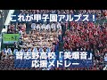 これが甲子園アルプス 習志野高校「美爆音」だ!応援メドレー(アフリカンシンフォニー・高須クリニック他)