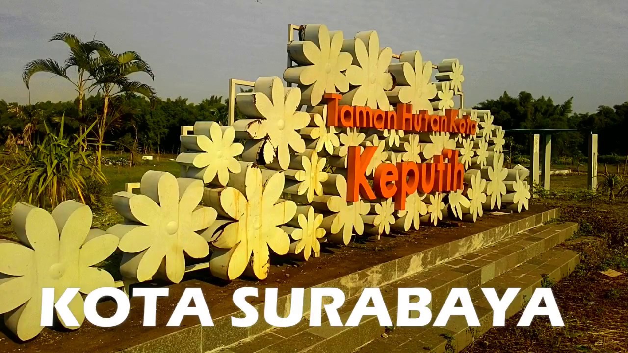  Wisata  Surabaya  Bunga  Sakura  Tempat Wisata  Indonesia