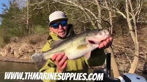 Carl Jocumsen Demonstrates How to use the Conservation Culling System