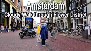 Amsterdam Cloudy Vondel Park to Flower District Relaxing Walk |5k 60 | UHD Amsterdam Sounds