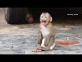 Monkey Donal Cry Loudly Lost Mom, Mom Busy Washing Clothes