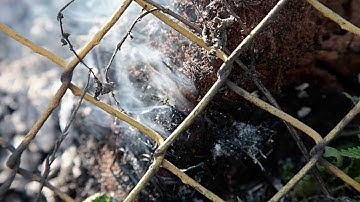 COLLAPSING STORIES (D is DONE) - a film by Jan Mast & Madensuyu (2008)