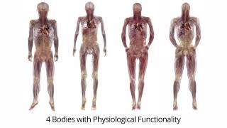 Trivitron's Anatomage Table 8