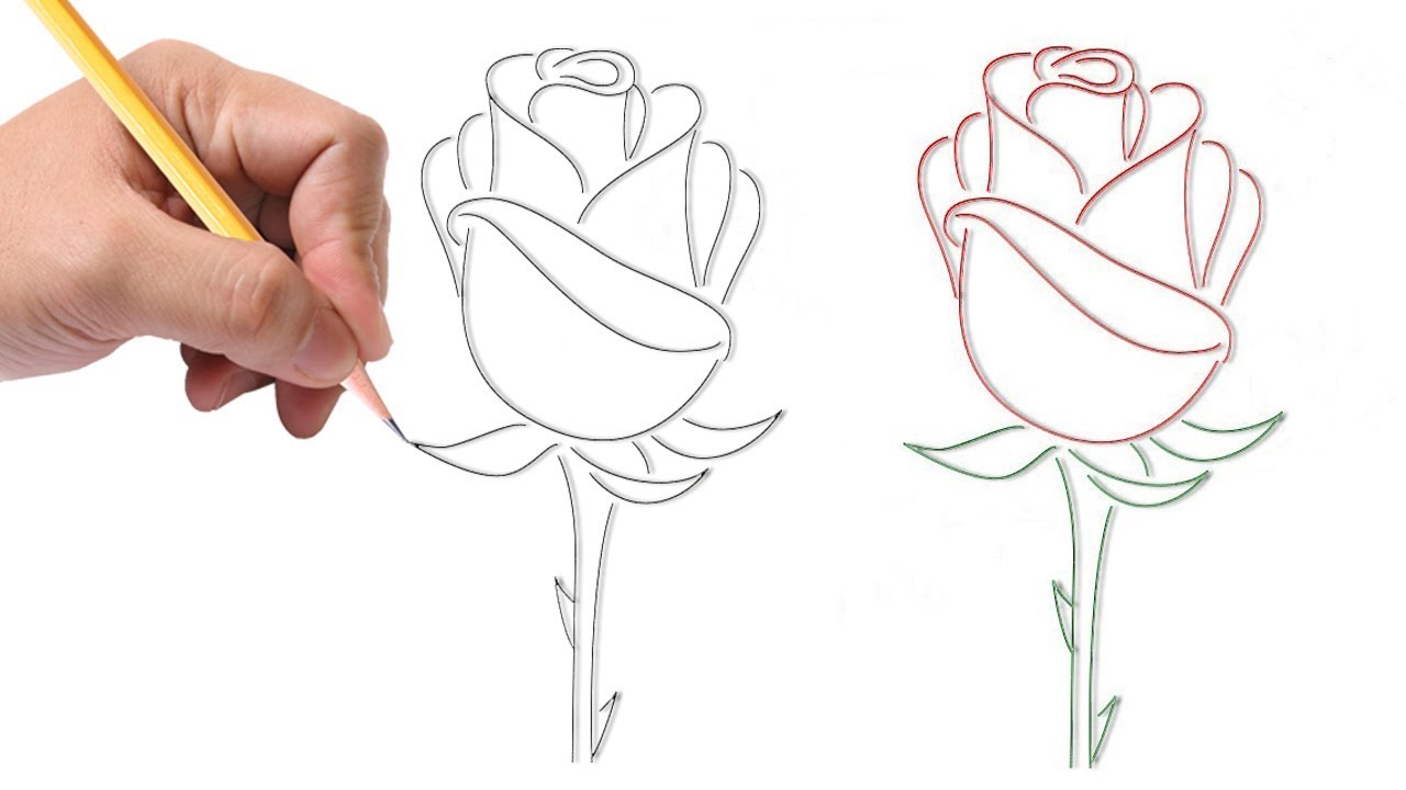 How To Draw A Rose Easy Dibujo Rosa رسم وردة بطريقة سهلة Youtube