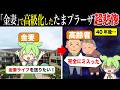 【栄枯盛衰】金妻が憧れた高級住宅街たまプラーザの悲惨な末路【ずんだもん&ゆっくり解説】