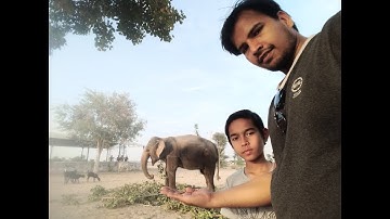 class 7 mathematics exercise 4.6 question no 2