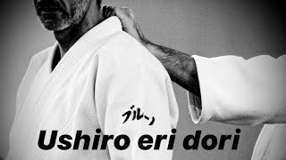 Aikido - Ushiro Eri Dori by Gonzalez Bruno Budapest 2015