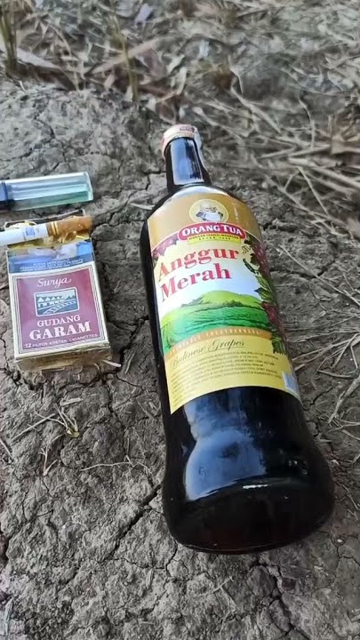 MINUM AMER DAN ROKOK DI TENGAH SAWAH | HALU STORY #shorts  #storyhalu #storyig #storywa