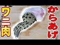 ワニ肉の唐揚げを何も知らない友人に食わせてみたwww