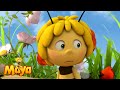 The Bee Dance - Part 1 - Maya the Bee 🦋🐝
