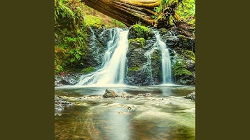 Smart Backdrops for Rejuvenating Experiences