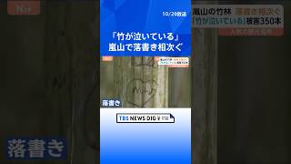 京都・嵐山の竹林で『落書き』増加　一体だれが！？　ハートにアルファベット　何かの記号　中にはカタカナや漢字のような文字も…｜TBS NEWS DIG #shorts