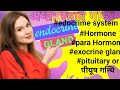 Endocrine gland 