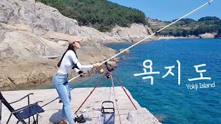 [SUB] 욕지도에서 만난 처음 보는 물고기들! Korea island surf fishing!