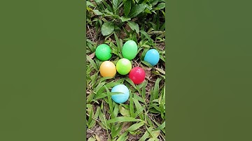 many eggs and snails #eggs #horror #snails #scary #creepy #egg #creepypasta