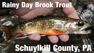 WB - Rainy Day Brook Trout, Schuylkill County, PA - September '18
