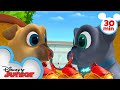 Bingo and Rolly Travel Across Europe! | 30 Minute Compilation | Puppy Dog Pals| Disney Junior