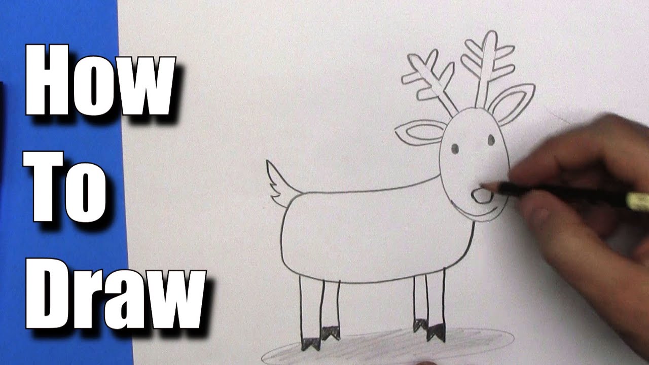 How To Draw: Easy Reindeer- Step By Step - YouTube