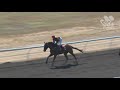 View race 2 video for 2021-06-12