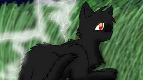 Crowfeather When Your Gone