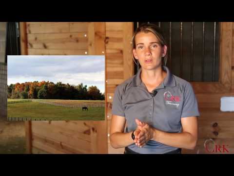 Video: Ieguvumi no Rehab vai Lay Up Facility izmantošanas Jūsu ievainotajam zirgam