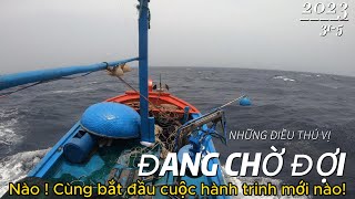 #01 Hành trình đánh bắt cá ngừ vs cá mập và cá kiếm siêu to khổng lồ ! vào mùa .