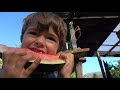 NEW ZEALAND Adventure VLOG 98 with Josh James Family and Friends, fishing and camping