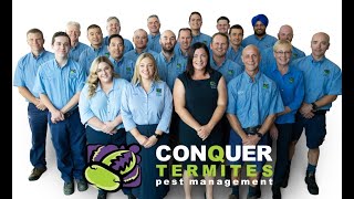 Conquer Termites 2021 - A Big Year!