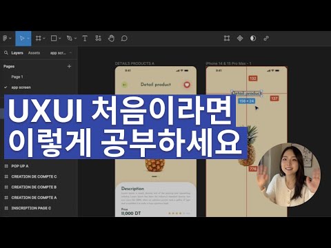 UXUI 디자인 툴들이 처음이라면 이렇게 공부하세요!