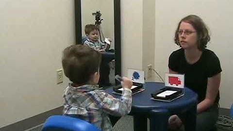 A Typical 3-year-old Sorting cards