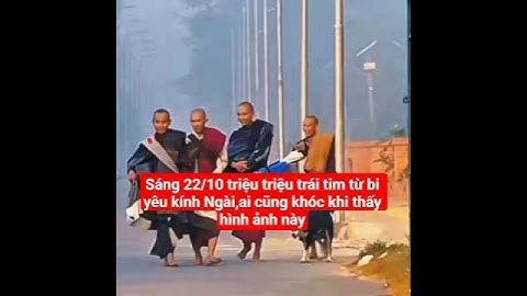 sáng 22/10 triệu triệu trái tim từ bi yêu kính Ngài,ai cũng khóc#suminhtue #shortvideo