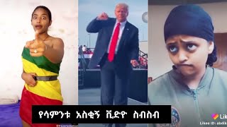 Tik Tok Habesha 2020 | በመላው አለም ያሉ ኢትዮጵያውያን ትራንፕን አጥረገረጉት