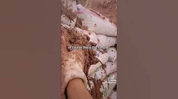 My Favorite Part Of Building Our Root Cellar #offgrid #naturalbuilding naturalbui