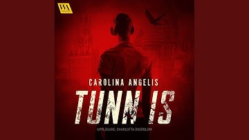 Chapter 18.3 - Tunn is