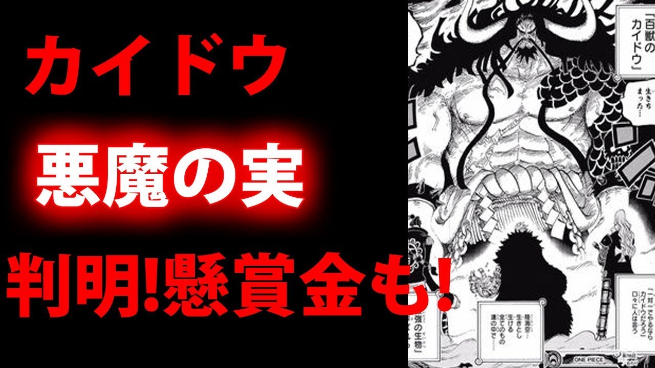 ワンピース ネタバレ One Piece 百獣海賊団 カイドウ 悪魔の実 判明 懸賞金も ワンピース Youtube