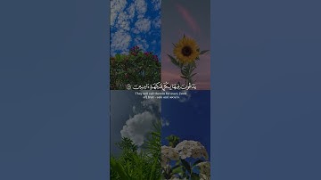 (إِنَّ الْمُتَّقِينَ فِي مَقَامٍ أَمِينٍ ) بصوت #ماهر_المعيقلي #سورة_الدخان