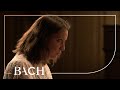 Bach - Partita in D major BWV 828 - Albach | Netherlands Bach Society