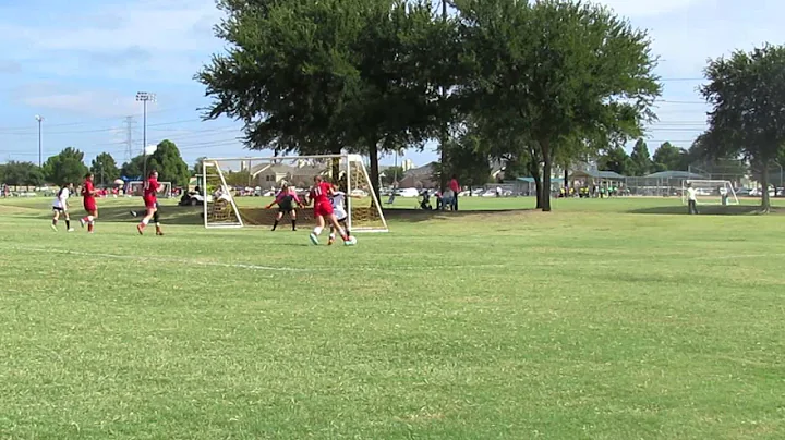 Brianne Phillips, Big Paw Save