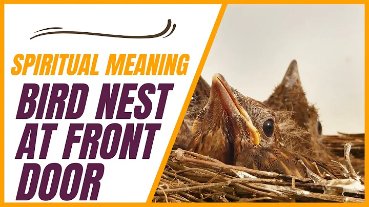 Spiritual Meaning of a Bird Nest at Your Front Door - DayDayNews