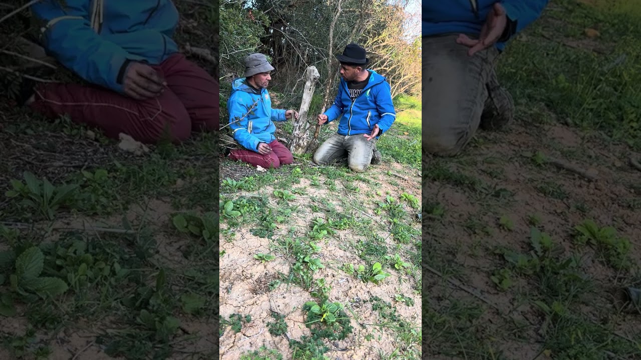 نعنوع راه ينصح فالميلود 