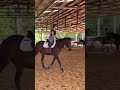 Horse riding with cassandra  plf equestrian canter pony horseriding equestrianlifestyle