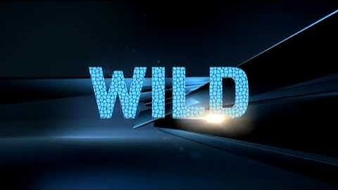 Wild Wednesdays - Only on 3net