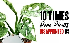 10 times Rare Houseplants disappointed us by Kaylee Ellen 29,692 views 1 month ago 31 minutes