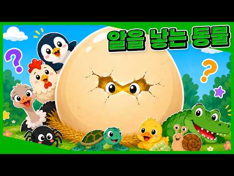 알 속에서 어떤 동물이 나올까?ㅣ펭귄, 악어 +ㅣ알을 낳는 동물 모아보기ㅣLet's go! 동물탐험대ㅣ프뢰벨키즈