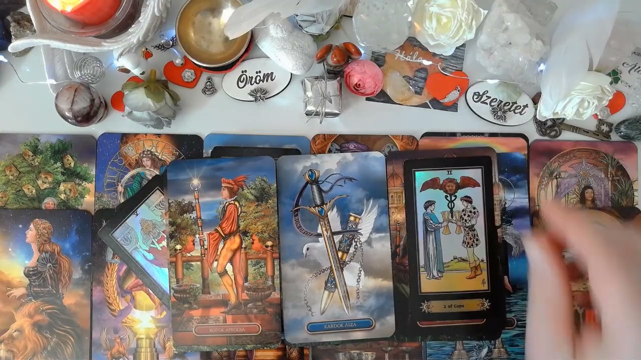 Lélektárs és karrier!☺️😇🥰❤️🙏