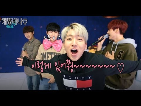 [B1A4+비원에이포] 신인 솔로가수를 대하는 8년차 선배들의 팀워크ㅋㅋㅋㅋ(feat. 천상의 하모니♡)