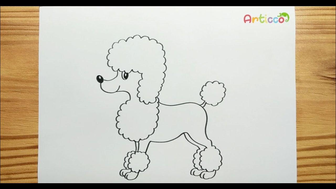 How to Draw Poodle Easy Step by Step YouTube