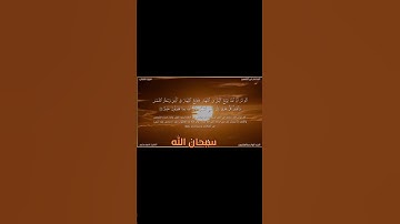 القارئ عاصم سليم قمة فى الروعة والجمال وهو يرتل الآية ٢٩ من سورة لقمان