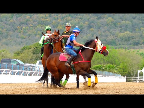 Video: ¿Está abierto Rancho Seco?