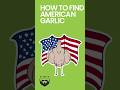 How to Find American Grown Garlic #americanfoods